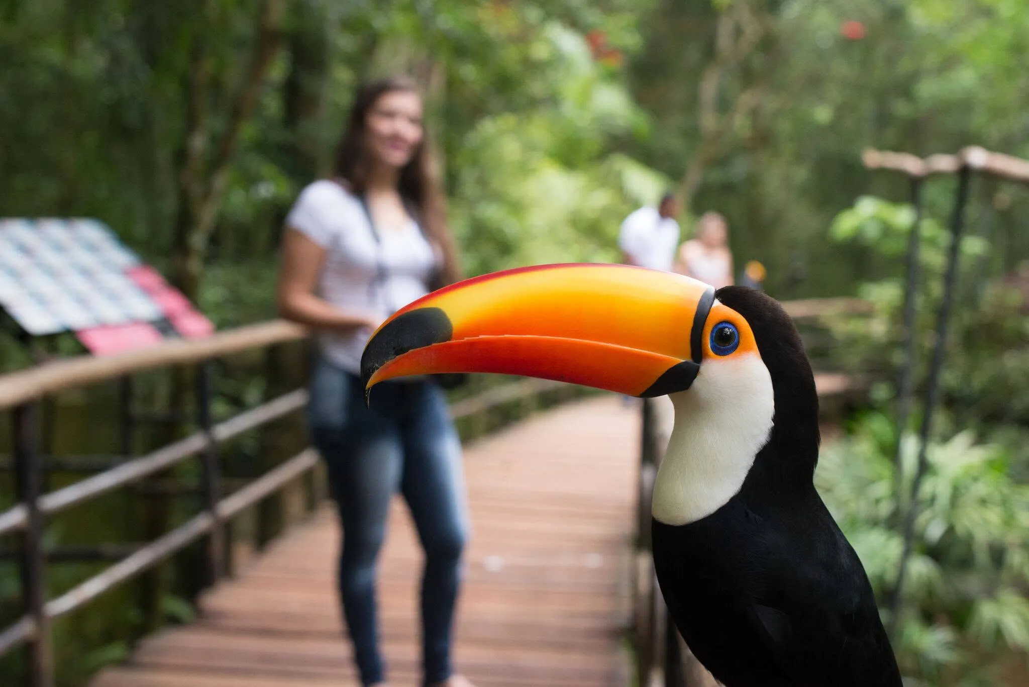 Parque das Aves